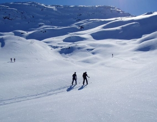  Descubrir la libertad en la nieve polvo 